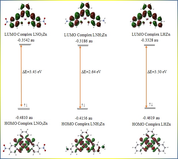 بررسی ویژگی‌های ترمودینامیکی و ساختاری کمپلکس های فلز Zn2+ با لیگاندهای باز شیف با استفاده از محاسبات شیمی کوانتومی 
